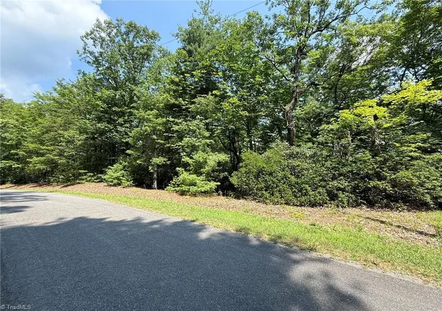 3rd image of Lot 87 Mcintosh Dr, Lowgap, NC 27024 | MLS# 1227577