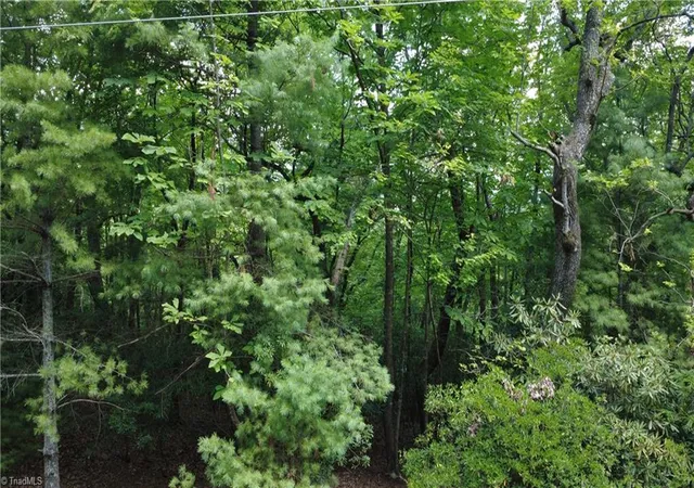 4th image of Lot 87 Mcintosh Dr, Lowgap, NC 27024 | MLS# 1227577