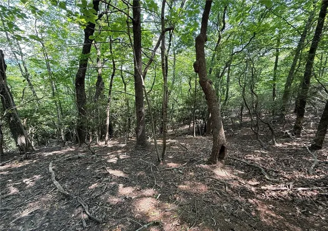 5th image of Lot 87 Mcintosh Dr, Lowgap, NC 27024 | MLS# 1227577