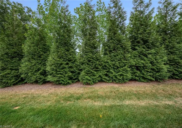 50th image of 2934 York Pl Dr, Walkertown, NC 27051 | MLS# 1224086