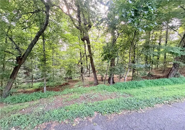 2nd image of Tbd Woodland Dr, Elkin, NC 28621 | MLS# 1231509