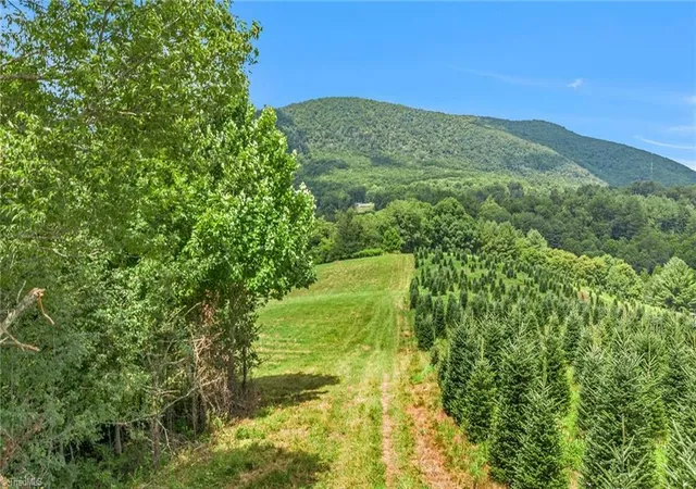 Photo 2 of Land for sale at Tbd N 6th Avenue, West Jefferson, NC 28694 | MLS# 1228351 | Listing updated on 2026-09-03