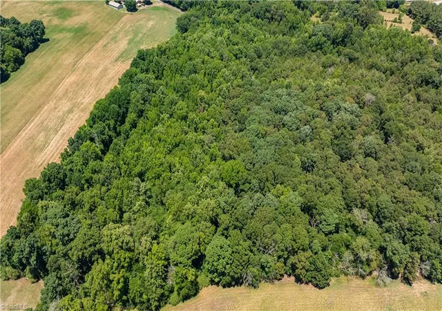 Photo 7 of Land for sale at 0 Fork Crk Ml Rd, Seagrove, NC 27341 | MLS# 1228087 | Listing updated on 2026-07-20