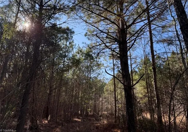 19th image of 00 Hammonds Rd, Lumberton, NC 28360 | MLS# 1214542
