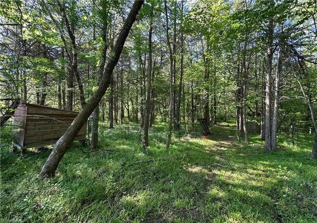 4th image of 0 Bonkin Lake Rd, Mocksville, NC 27028 | MLS# 1218145