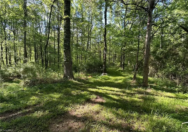5th image of 0 Bonkin Lake Rd, Mocksville, NC 27028 | MLS# 1218145