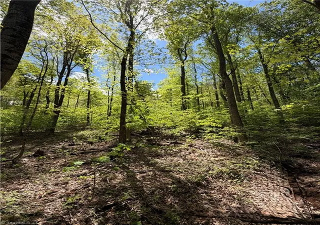 Homes for sale in West Jefferson, NC | Lot#28 Bluff Ridge Rd, West Jefferson, NC 28694 | MLS# 1218212