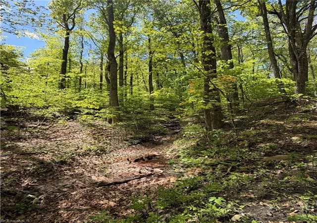 Homes for sale in West Jefferson, NC | Lot#28 Bluff Ridge Rd, West Jefferson, NC 28694 | MLS# 1218212