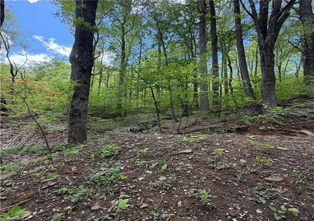 Homes for sale in West Jefferson, NC | Lot#28 Bluff Ridge Rd, West Jefferson, NC 28694 | MLS# 1218212