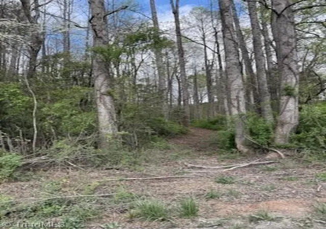 Homes for sale in Boomer, NC | Tbd Hollow Springs Cir, Boomer, NC 28606 | MLS# 1217213