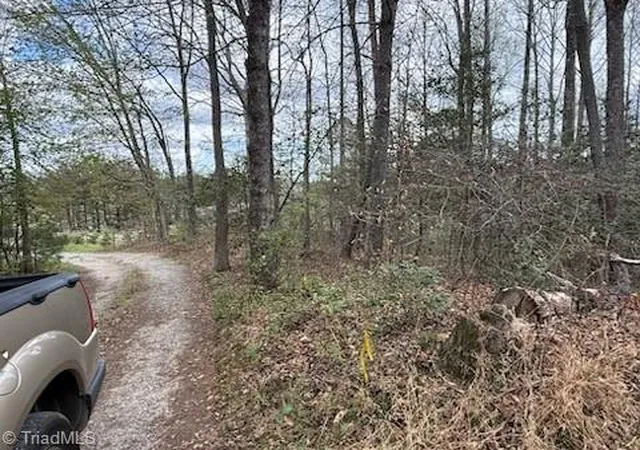 Homes for sale in Boomer, NC | Tbd Hollow Springs Cir, Boomer, NC 28606 | MLS# 1217213