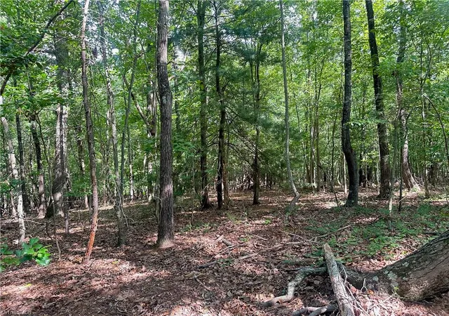 12th image of 0 John Byrd Rd, Morganton, NC 28655 | MLS# 1229094