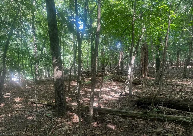 3rd image of 0 John Byrd Rd, Morganton, NC 28655 | MLS# 1229094
