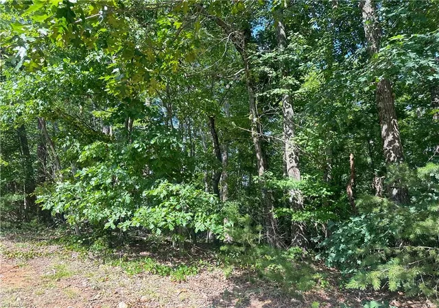 5th image of 0 John Byrd Rd, Morganton, NC 28655 | MLS# 1229094