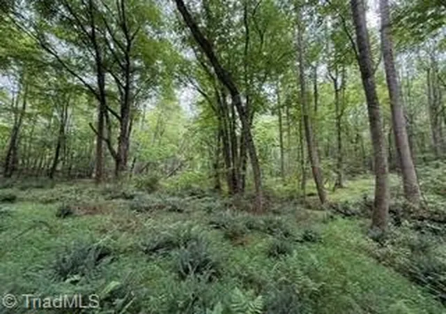 13th image of 00 Rock Hill Church Rd, Ararat, NC 27007 | MLS# 1231532