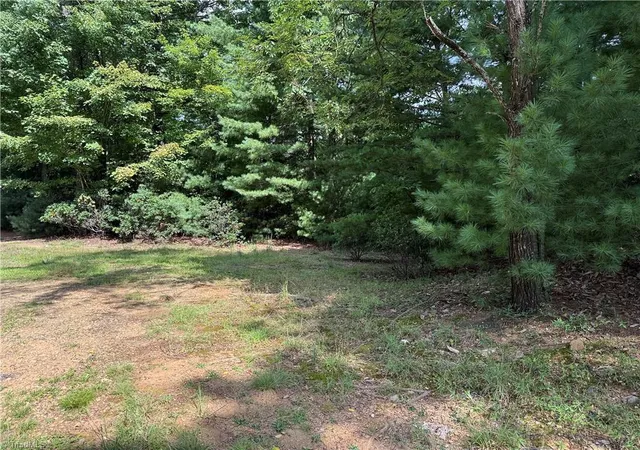 Photo 1 of Land for sale at Lot 119 Rich Pine Dr, Purlear, NC 28665 | MLS# 1233442 | Listing updated on 2026-08-25