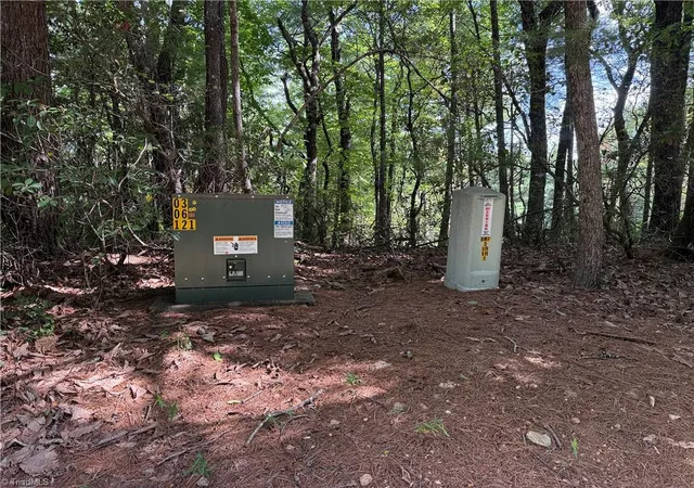 Photo 2 of Land for sale at Lot 119 Rich Pine Dr, Purlear, NC 28665 | MLS# 1233442 | Listing updated on 2026-08-25