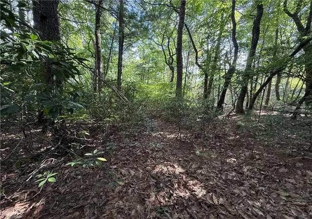 Photo 4 of Land for sale at Lot 119 Rich Pine Dr, Purlear, NC 28665 | MLS# 1233442 | Listing updated on 2026-08-25