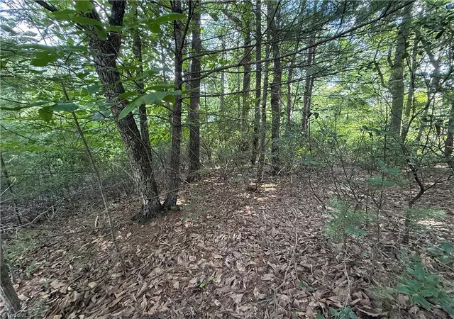 Photo 5 of Land for sale at Lot 119 Rich Pine Dr, Purlear, NC 28665 | MLS# 1233442 | Listing updated on 2026-08-25