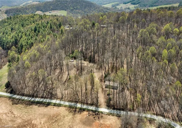 Homes for sale in Sparta, NC | 0 Walnut Branch Church Rd, Sparta, NC 28675 | MLS# 1216088