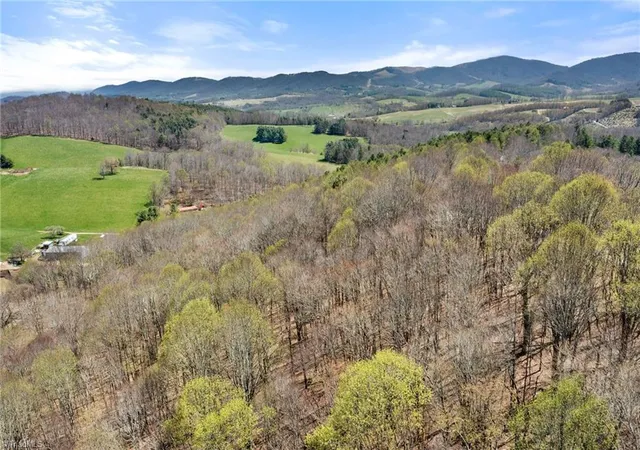 Homes for sale in Sparta, NC | 0 Walnut Branch Church Rd, Sparta, NC 28675 | MLS# 1216088