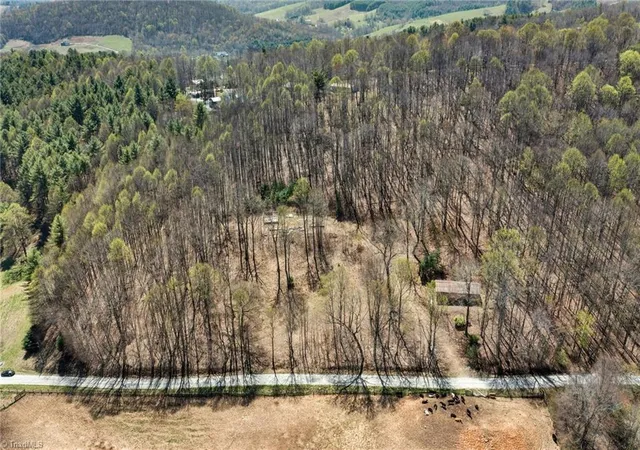 Homes for sale in Sparta, NC | 0 Walnut Branch Church Rd, Sparta, NC 28675 | MLS# 1216088