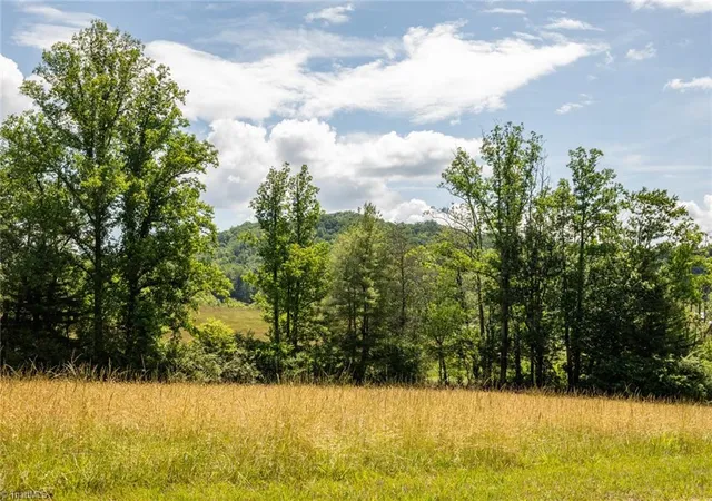 Homes for sale in Purlear, NC | Tbd Shingle Gap Rd, Purlear, NC 28665 | MLS# 1221791