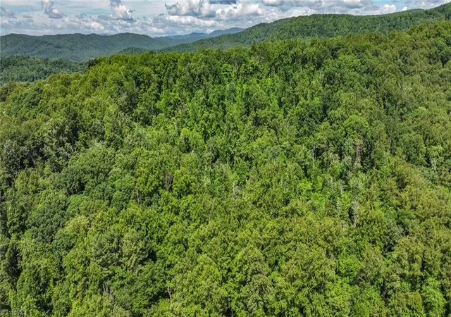 Homes for sale in Purlear, NC | Tbd Shingle Gap Rd, Purlear, NC 28665 | MLS# 1221791