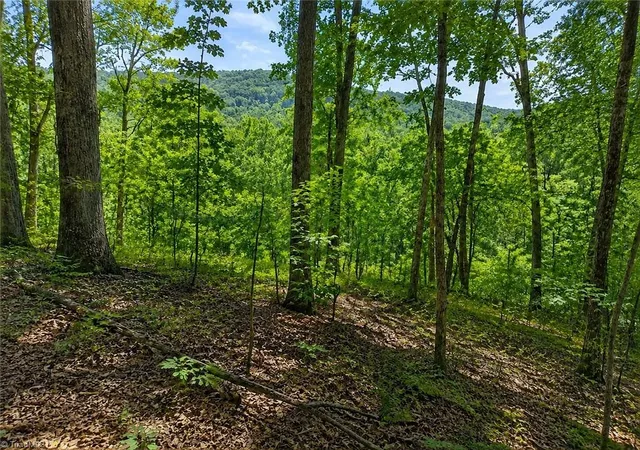 2nd image of 0 Sheppard Mill Rd, Danbury, NC 27016 | MLS# 1231075