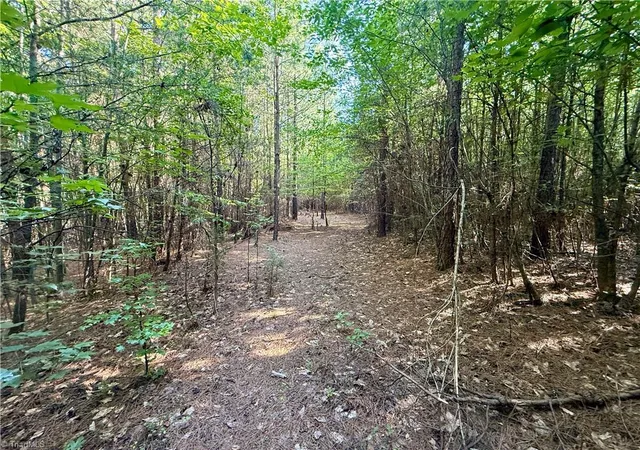 Photo 2 of Sale Pending at 0 Piney Grove Rd, Kernersville, NC 27284 | MLS# 1231314 | Listing updated on 2026-08-31