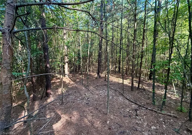 Photo 3 of Sale Pending at 0 Piney Grove Rd, Kernersville, NC 27284 | MLS# 1231314 | Listing updated on 2026-08-31