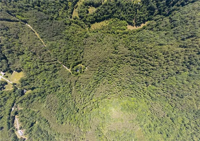 Photo 3 of Land for sale at 00 Lynchburg Rd, Westfield, NC 27053 | MLS# 1226364 | Listing updated on 2026-07-02