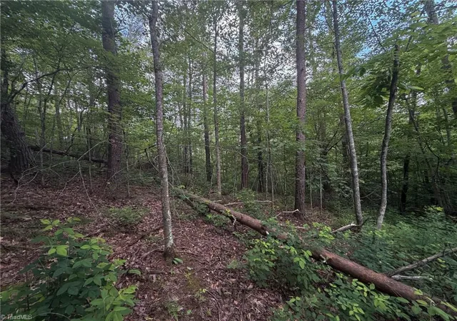 Photo 4 of House for sale at 00 Lynchburg Rd, Westfield, NC 27053 | MLS# 1226364 | Listing updated on 2026-07-02