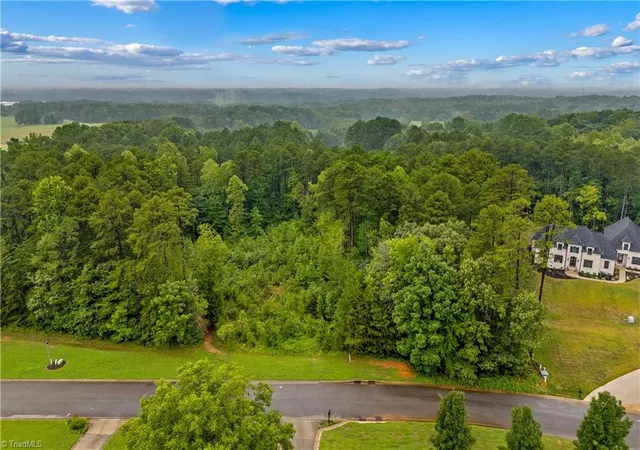 2nd image of 165 Wellington Estates Dr, China Grove, NC 28023 | MLS# 1188720