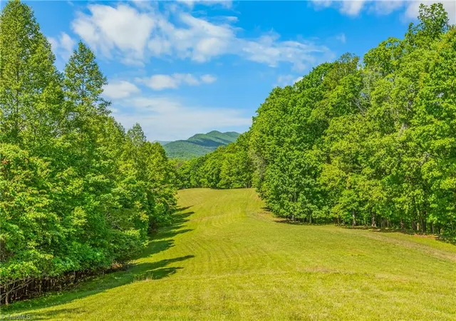 Homes for sale in Danbury, NC | 1392 Mission Rd, Danbury, NC 27016 | MLS# 1217667