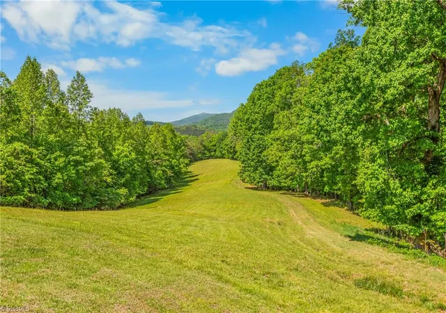 Homes for sale in Danbury, NC | 1392 Mission Rd, Danbury, NC 27016 | MLS# 1217667