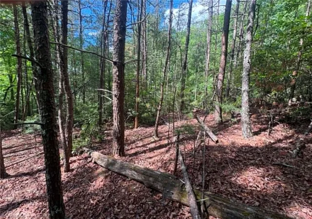 Photo 2 of Land for sale at Lot 19 Fawn Ln, Hays, NC 28635 | MLS# 1219976 | Listing updated on 2026-05-15