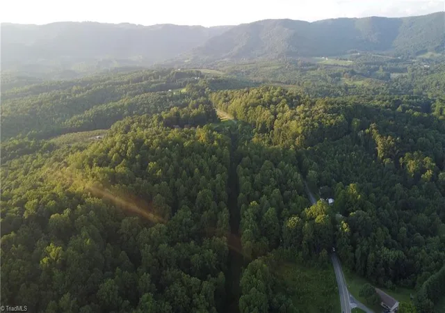 Photo 14 of Land for sale at 4749 Wards Gap Rd, Cana, VA 24317 | MLS# 1229424 | Listing updated on 2026-07-29