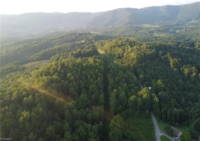 Photo 2 of Land for sale at 4749 Wards Gap Rd, Cana, VA 24317 | MLS# 1229424 | Listing updated on 2026-07-29