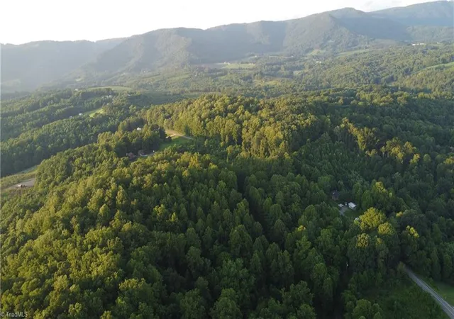 Photo 2 of Land for sale at 4749 Wards Gap Rd, Cana, VA 24317 | MLS# 1229424 | Listing updated on 2026-07-29
