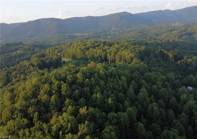 Photo 3 of Land for sale at 4749 Wards Gap Rd, Cana, VA 24317 | MLS# 1229424 | Listing updated on 2026-07-29