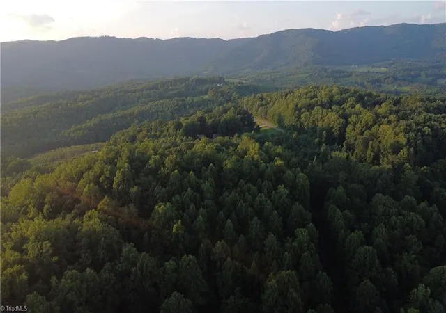 Photo 4 of Land for sale at 4749 Wards Gap Rd, Cana, VA 24317 | MLS# 1229424 | Listing updated on 2026-07-29