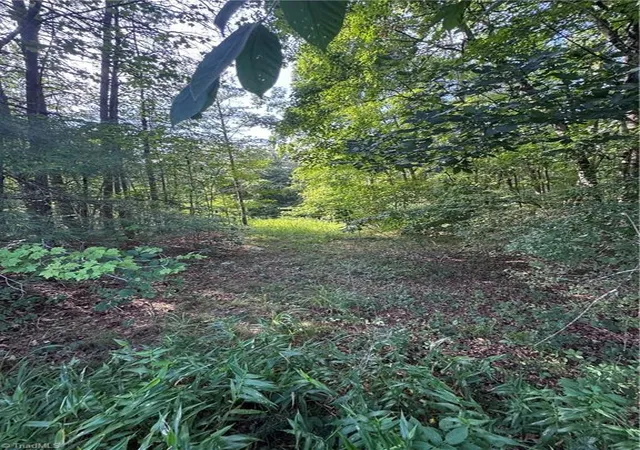 14th image of 0 Johnson Rd, King, NC 27021 | MLS# 1230450