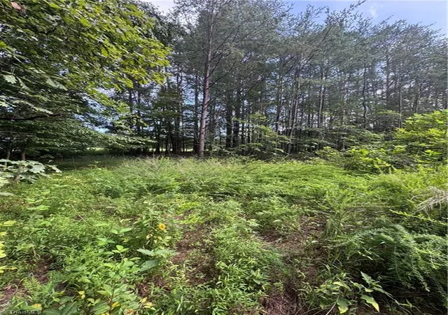 2nd image of 0 Johnson Rd, King, NC 27021 | MLS# 1230450