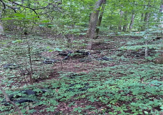 5th image of 0 Johnson Rd, King, NC 27021 | MLS# 1230450