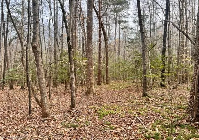 Photo 3 of Land for sale at 5591 Mount Lebanon Rd, Asheboro, NC 27205 | MLS# 1211986 | Listing updated on 2026-05-21