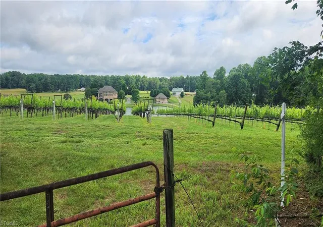 38th image of 1152 Redbud Ln, Hamptonville, NC 27020 | MLS# 1219501