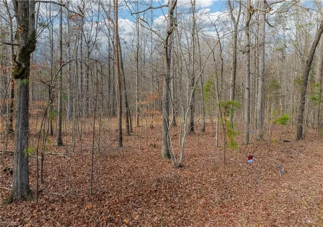 Photo 26 of Land for sale at 00 Cooper Rd, Staley, NC 27355 | MLS# 1203707 | Listing updated on 2026-09-01