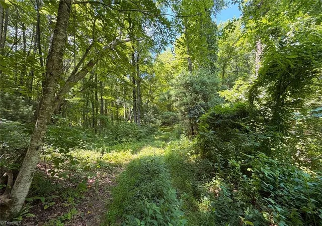 Photo 2 of Land for sale at 363 Good Hope Ln, Thurmond, NC 28683 | MLS# 1228077 | Listing updated on 2026-07-24