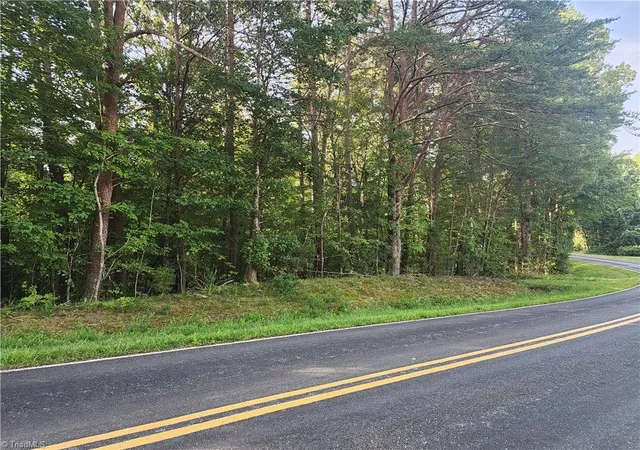 Photo 1 of Land for sale at 0 River Bluff Farms Rd, Tobaccoville, NC 27050 | MLS# 1233211 | Listing updated on 2026-08-24